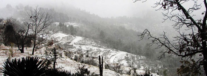 1724/Elphinstone Himalaya Resort - Almora 07.jpg